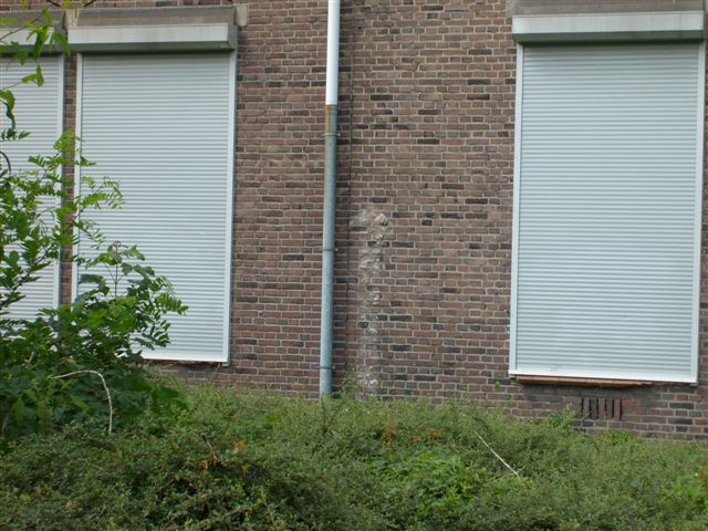 Foto06.jpg