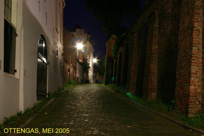novio10a.jpg