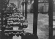Dobbelmann 024.jpg