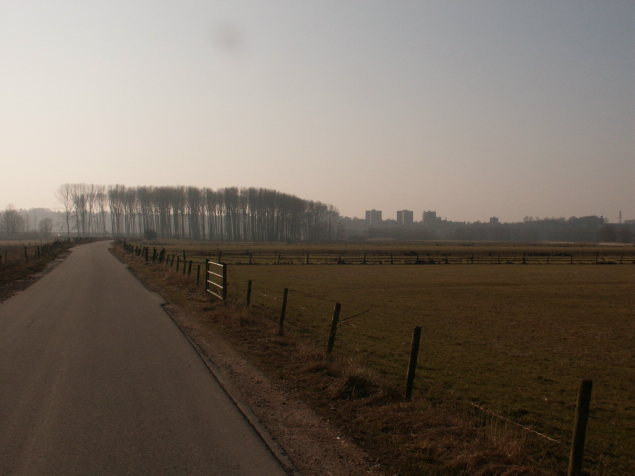 Batavierenflats.JPG