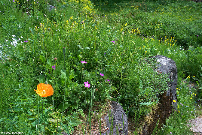 026P0002509.jpg