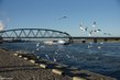 DSC04652.JPG